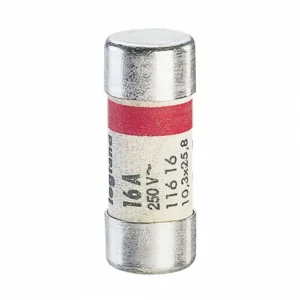 FUSES-1:TR100R